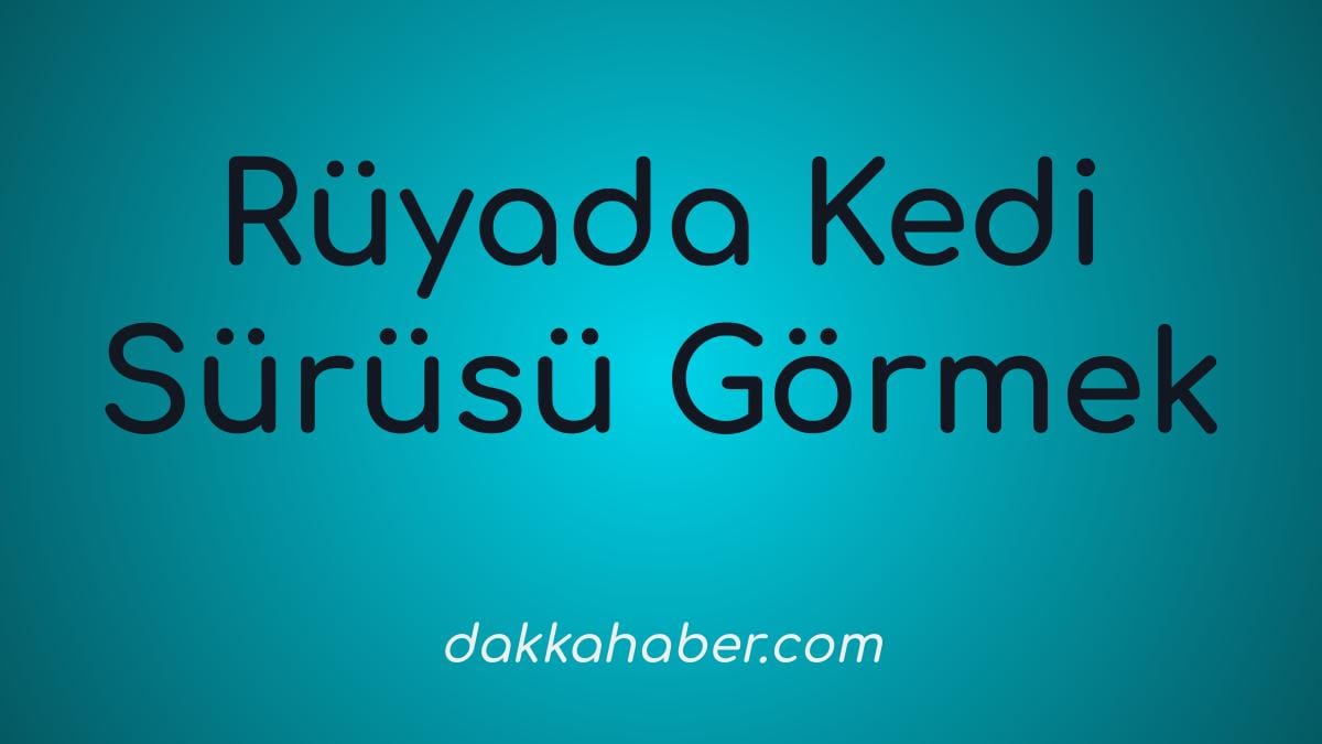 ruyada kedi surusu gormek