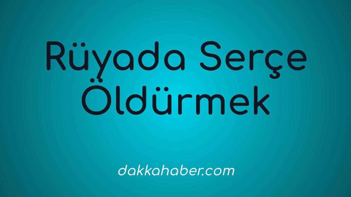 ruyada serce oldurmek