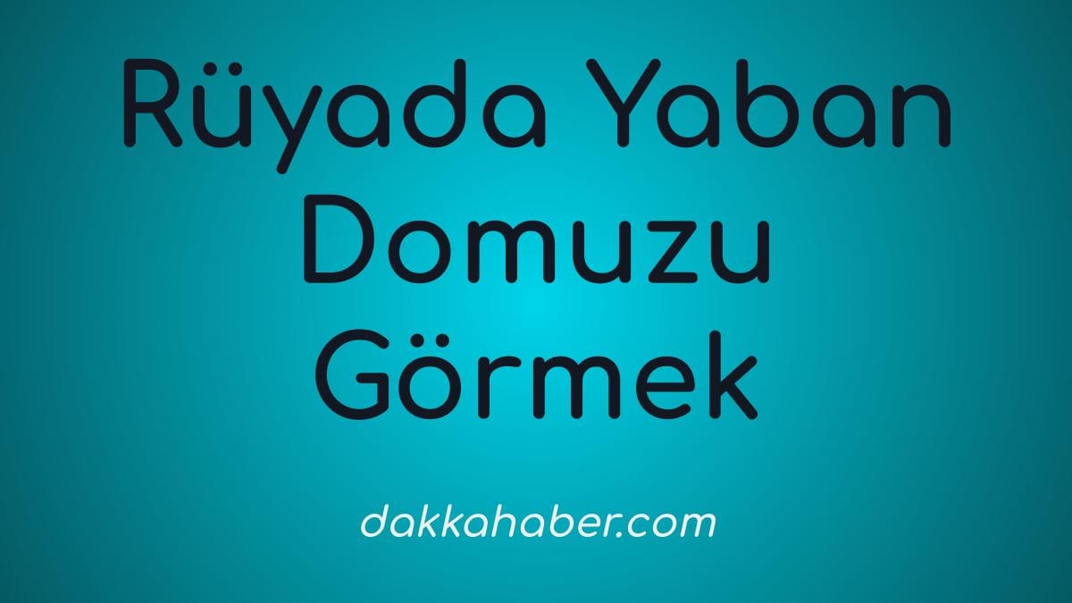 ruyada yaban domuzu gormek