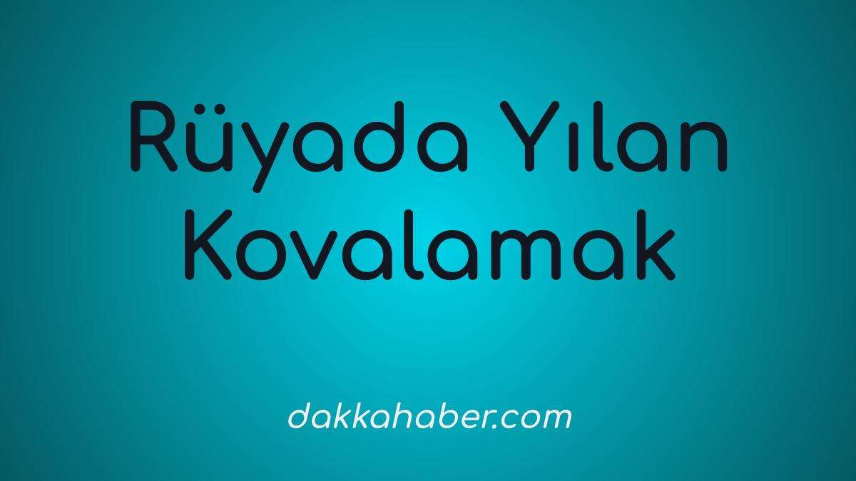 ruyada yilan kovalamak
